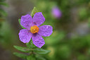 BUITEN BEELD Foto: 413230