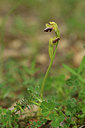BUITEN BEELD Foto: 413232