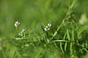 BUITEN BEELD Foto: 413240