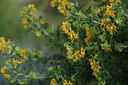 BUITEN BEELD Foto: 413244