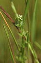 BUITEN BEELD Foto: 413253