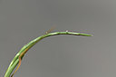 BUITEN BEELD Foto: 413254