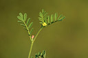 BUITEN BEELD Foto: 413257