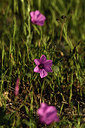 BUITEN BEELD Foto: 413273