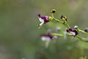 BUITEN BEELD Foto: 413279