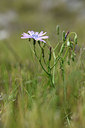 BUITEN BEELD Foto: 413282