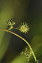 BUITEN BEELD Foto: 413294