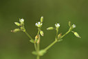 BUITEN BEELD Foto: 413298