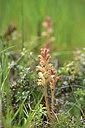 BUITEN BEELD Foto: 413303