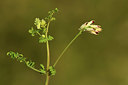 BUITEN BEELD Foto: 413305