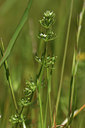 BUITEN BEELD Foto: 413307