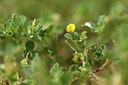BUITEN BEELD Foto: 413329