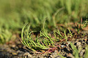 BUITEN BEELD Foto: 413332