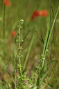 BUITEN BEELD Foto: 413373