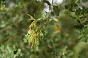 BUITEN BEELD Foto: 413390
