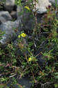 BUITEN BEELD Foto: 413392