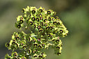 BUITEN BEELD Foto: 413397