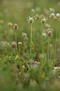 BUITEN BEELD Foto: 413399
