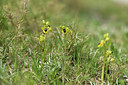 BUITEN BEELD Foto: 413408