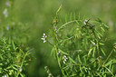 BUITEN BEELD Foto: 413409