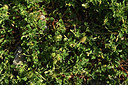 BUITEN BEELD Foto: 413421