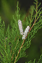 BUITEN BEELD Foto: 413426