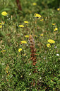BUITEN BEELD Foto: 413443