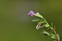 BUITEN BEELD Foto: 413474