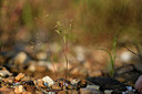 BUITEN BEELD Foto: 413478