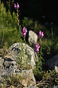 BUITEN BEELD Foto: 413480