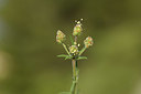 BUITEN BEELD Foto: 413482