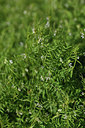 BUITEN BEELD Foto: 413488