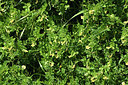 BUITEN BEELD Foto: 413497