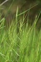 BUITEN BEELD Foto: 413504