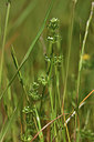 BUITEN BEELD Foto: 413506