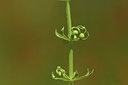BUITEN BEELD Foto: 413507