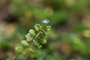 BUITEN BEELD Foto: 413517