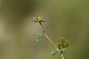BUITEN BEELD Foto: 413540