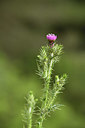 BUITEN BEELD Foto: 413544