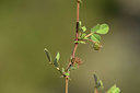 BUITEN BEELD Foto: 413545