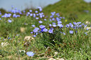 BUITEN BEELD Foto: 413548