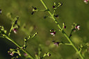 BUITEN BEELD Foto: 413583