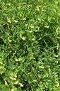 BUITEN BEELD Foto: 413586
