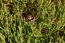 BUITEN BEELD Foto: 413606