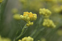 BUITEN BEELD Foto: 413608