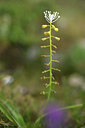 BUITEN BEELD Foto: 413619