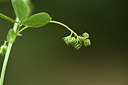 BUITEN BEELD Foto: 413635