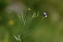 BUITEN BEELD Foto: 413637