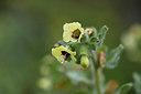 BUITEN BEELD Foto: 413662