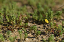 BUITEN BEELD Foto: 413675